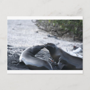 The kiss postcard