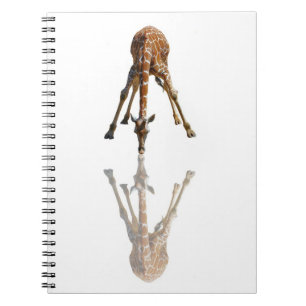 THE KISS SPIRAL NOTEBOOK