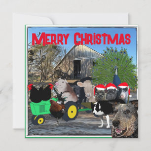The Kitchen's Garden Full Cast Holiday Card