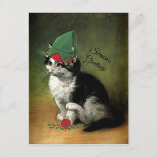 The Kitten, Old-Fashioned Christmas Holiday Postca Postcard
