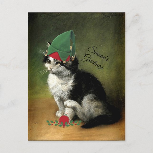 The Kitten, Old-Fashioned Christmas Holiday Postcard (Front)