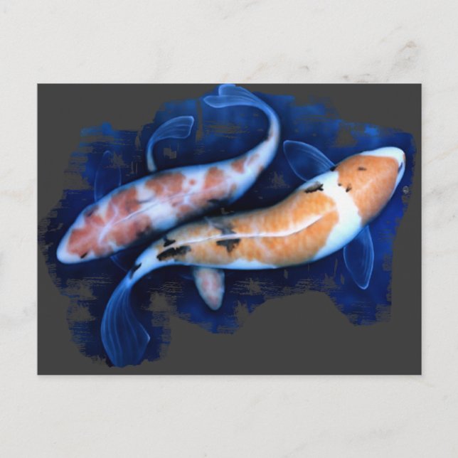 The Koi Tango Postcard (Front)