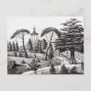 The Labyrinth from the Jardin des Plantes Postcard