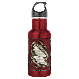 The Ladder Aluminium Water Bottle