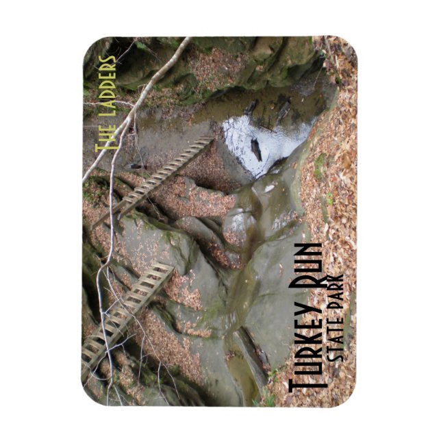 The Ladders, Turkey Run State Park Magnet (Vertical)