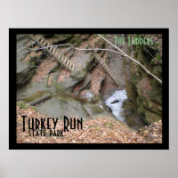 The Ladders, Turkey Run State Park