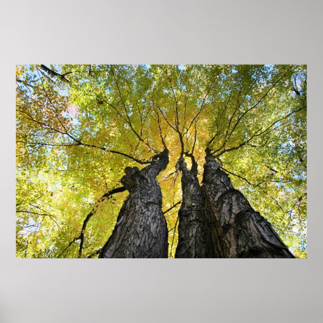 The ladies dance poster (Front)