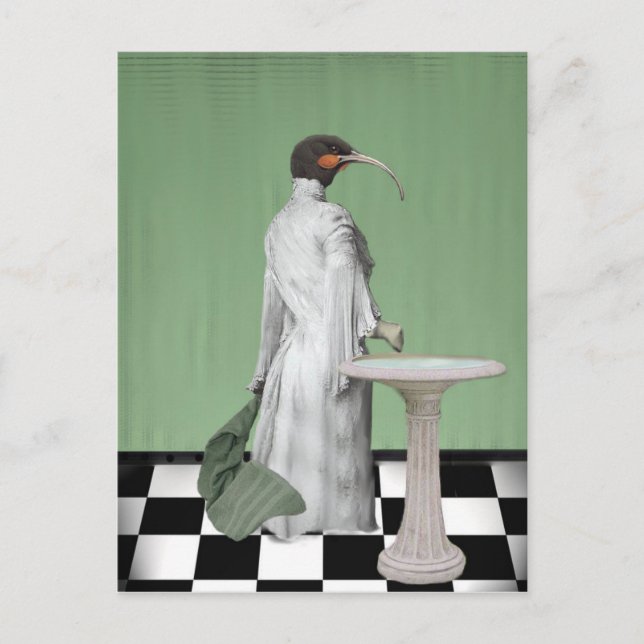 The Lady's Bath Postcard (Front)