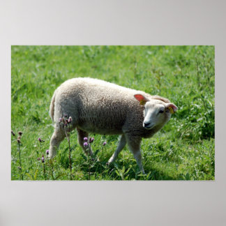 The Lamb Poster