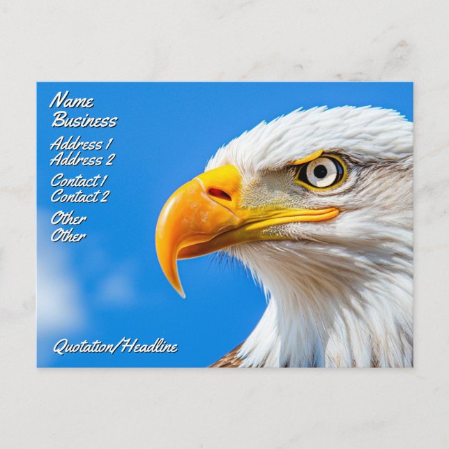 The Land of the Free, Home of the Brave Postcard (Front)