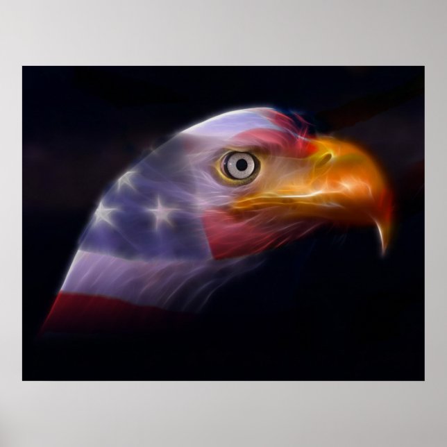 The Land of the Free, Home of the Brave Poster (Front)