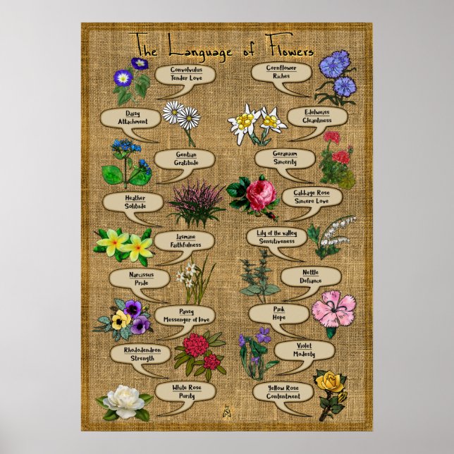 The Language of Flowers Poster (Front)