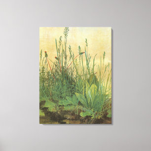 The Large (Great) Piece of Turf by Albrecht Durer Canvas Print