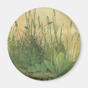 The Large (Great) Piece of Turf by Albrecht Durer Magnet
