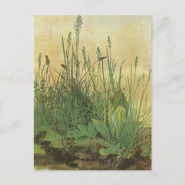 The Large (Great) Piece of Turf by Albrecht Durer Postcard (Front)