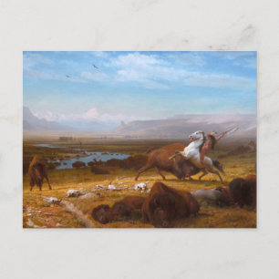 The Last of the Buffalo Postcard