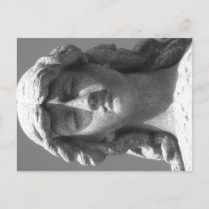 The Last Rose 3 Black and White Postcard