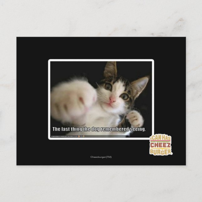 The last thing postcard (Front)