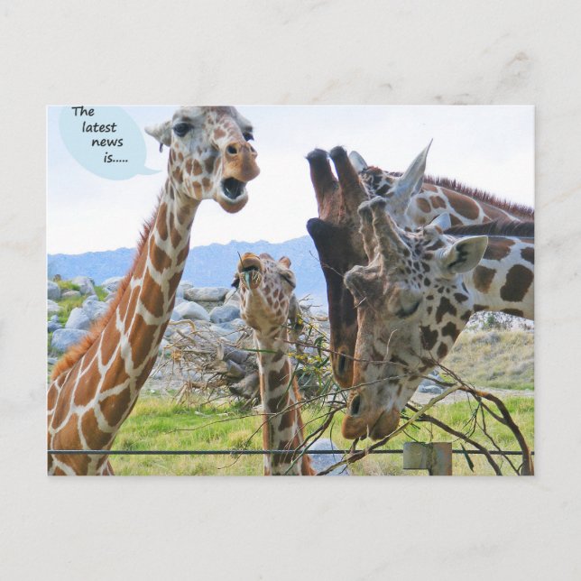 The Latest News is Postcard (Front)