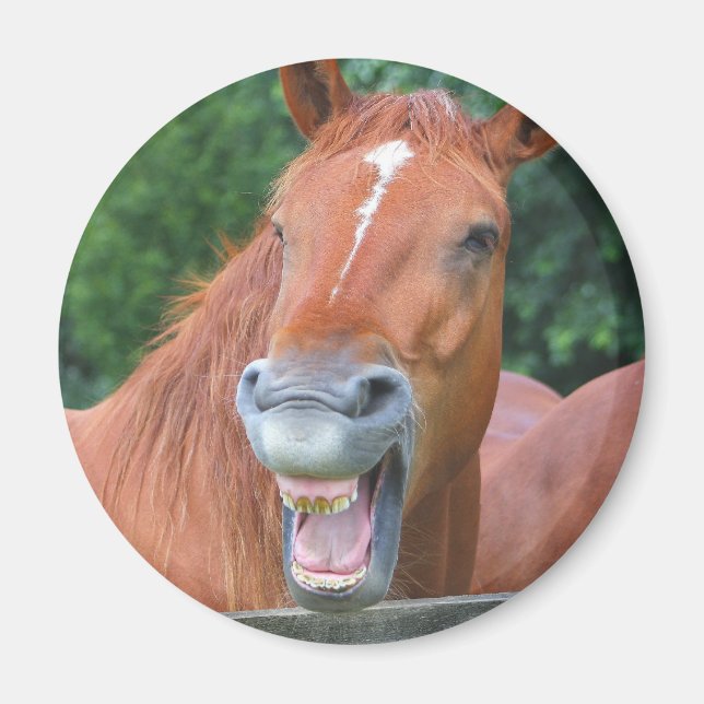The Laughing Horse Magnet (Front)