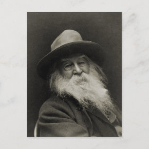 The Laughing Philosopher Poet Walt Whitman Postcard