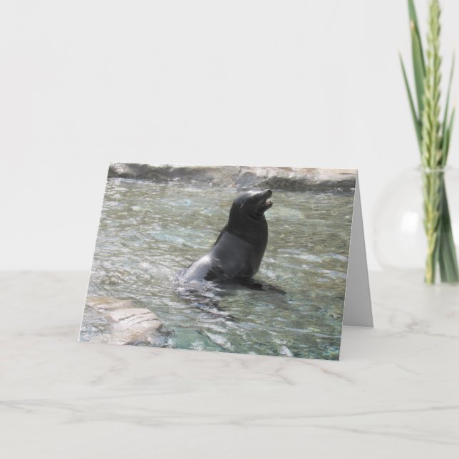 The Laughing Seal Greeting Cared Card (Front)