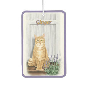 The Lavender Door Orange Tabby Cat Personalised Car Air Freshener