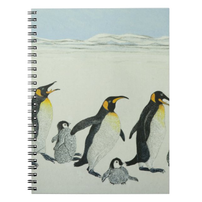 The learning curve spiral notebook (Front)