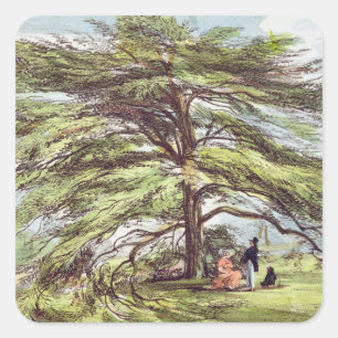 The Lebanon Cedar Tree in the Arboretum, Kew Garde Square Sticker