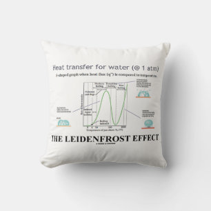 The Leidenfrost Effect Chemistry Water Cushion