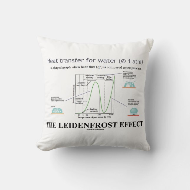 The Leidenfrost Effect Chemistry Water Cushion (Front)