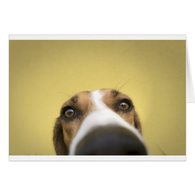 the lens cleaner (Front Horizontal)