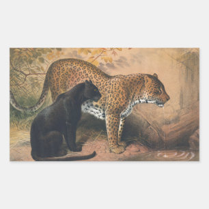 The Leopard by Joseph Wolf Rectangular Sticker