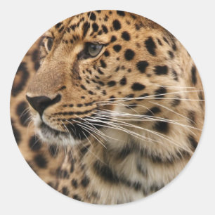 The Leopard Classic Round Sticker