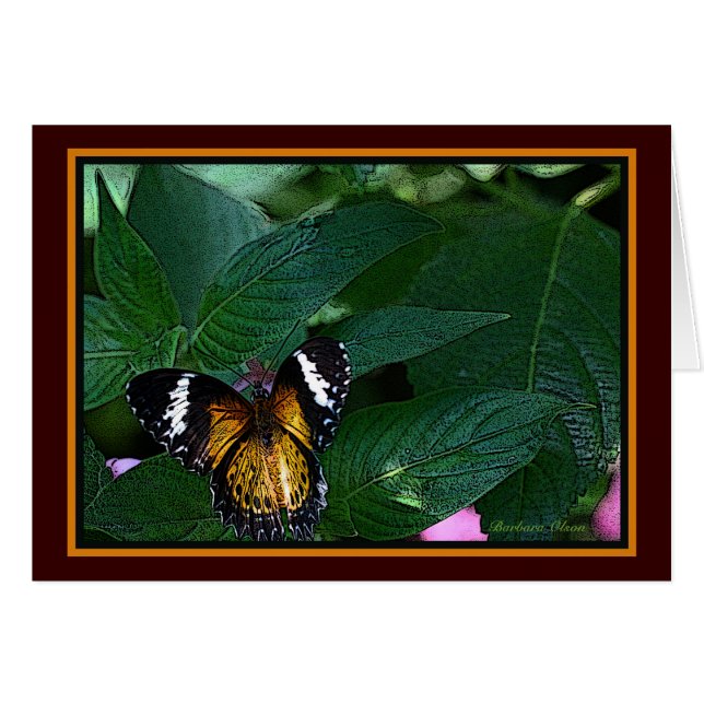 The Leopard Lacewing (Cethosia cyane): Butterfly (Front Horizontal)