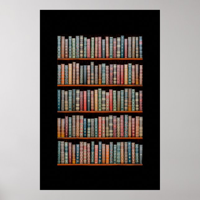The Library Poster (Front)