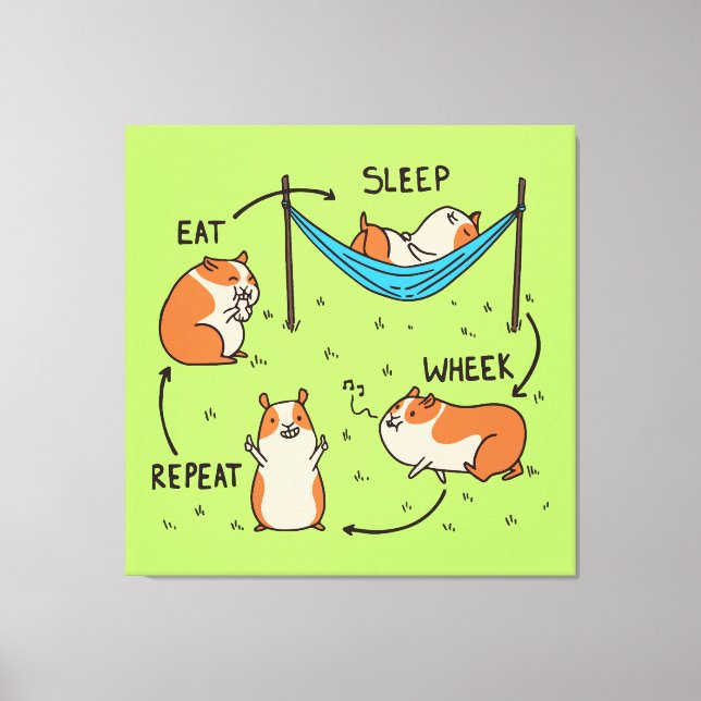 The life cycle of a Guinea Pig Canvas Print (Front)