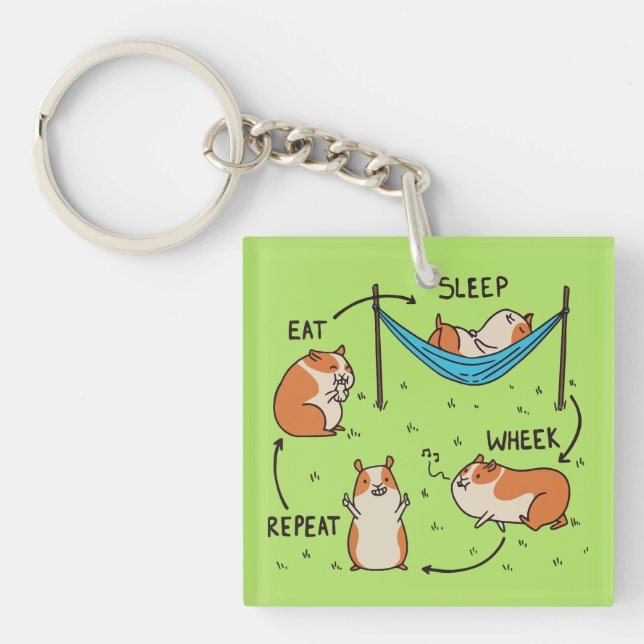 The life cycle of a Guinea Pig Key Ring (Front)