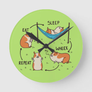 The life cycle of a Guinea Pig Round Clock