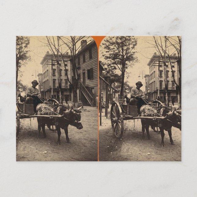 The Lightning Express, Savannah, Ga c. 1886 Postcard (Front)