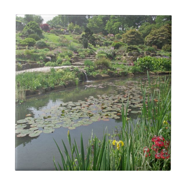 The Lily Pond at RHS Wisley Tile (Front)