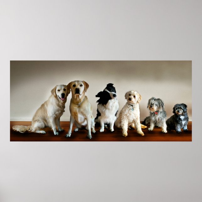 The Line Up Poster (Front)