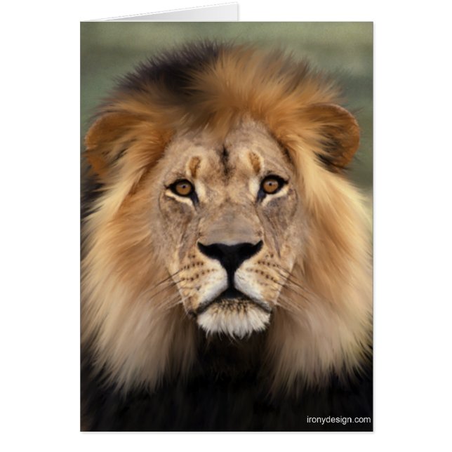 The Lion (Front)