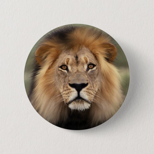 The Lion 6 Cm Round Badge (Front)