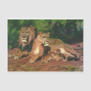 The Lion at Home (with Lioness and Lion Cubs) Tissue Paper