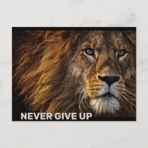 The Lion - Never Give Up Postcard