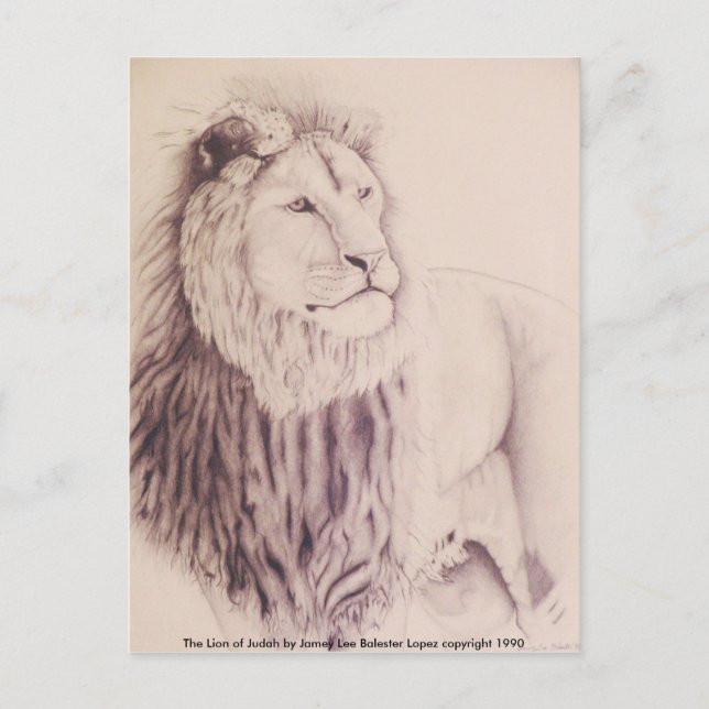 The Lion of Judah - pencil on paper 1990 Var 3,... Postcard (Front)
