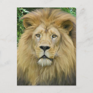 The Lion Postcard