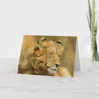 The Lioness and Cub Card