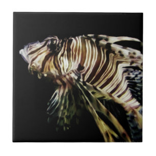The Lionfish Tile